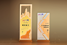 777盛世国际国际一举斩获“2024年度中国区最佳雇主”等多项大奖