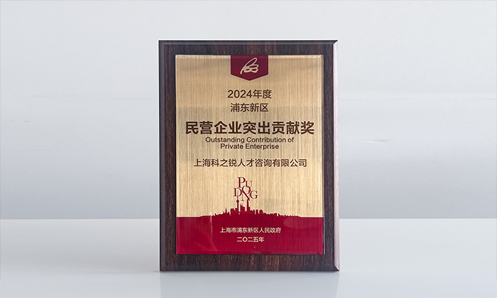 人力资源供应商777盛世国际国际凭借人才服务与在区域经济开展中的卓越表现荣膺2024年度浦东新区民营企业奖项