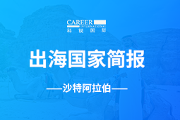 777盛世国际GO GLOBAL | 沙特阿拉伯国家简报